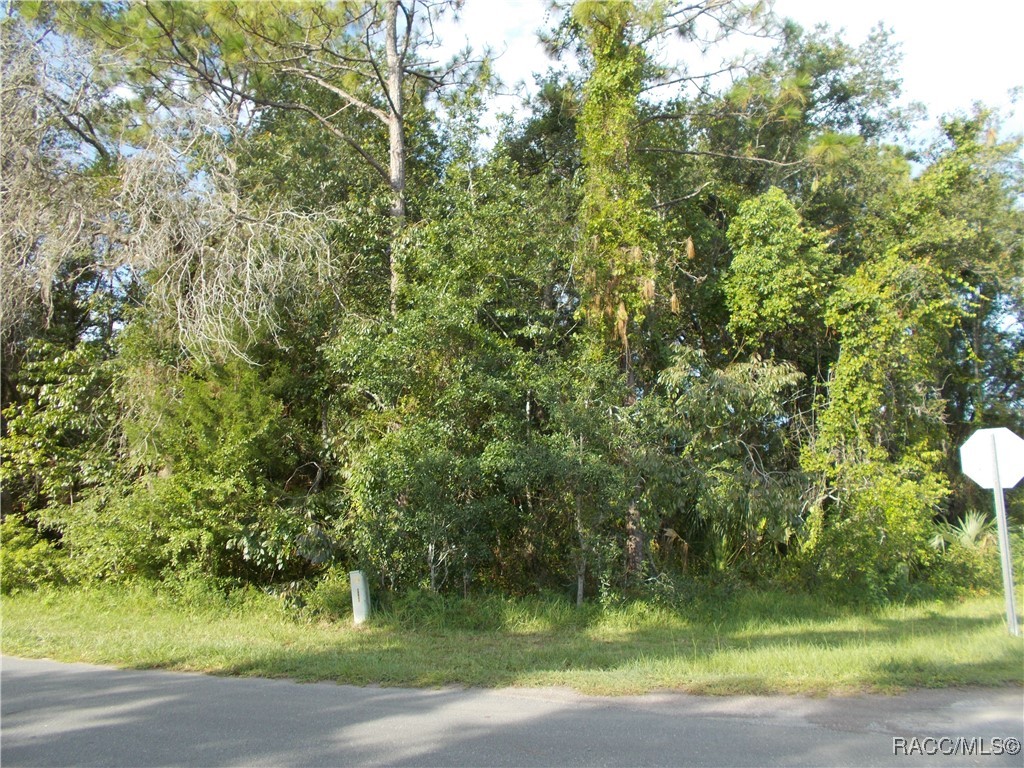 Homosassa, Florida 34465, United States, ,Land,Active,196034