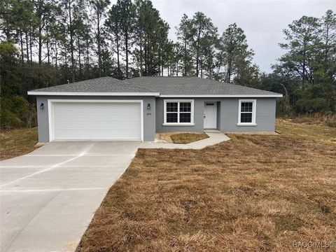 A home in Dunnellon