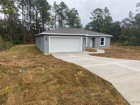 A home in Dunnellon