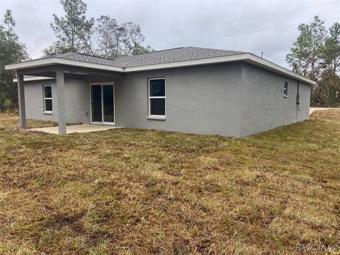 A home in Dunnellon