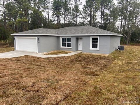 A home in Dunnellon