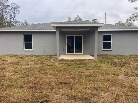 A home in Dunnellon