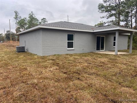 A home in Dunnellon