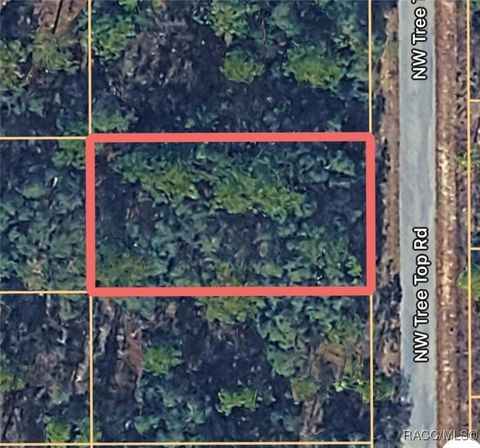 Vacant Land For Sale - 0000 NW Tree Top Unit #007 Road<br/> Dunnellon, FL 34431