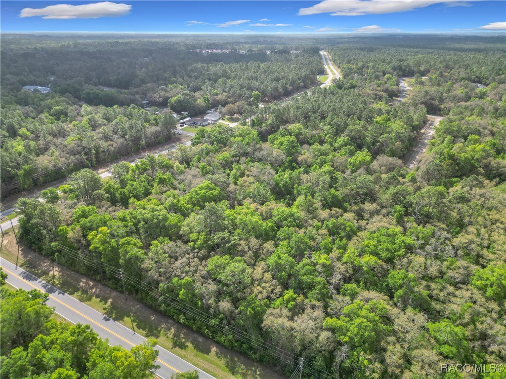 8808 N Deltona Boulevard, Citrus Springs, Florida image 10