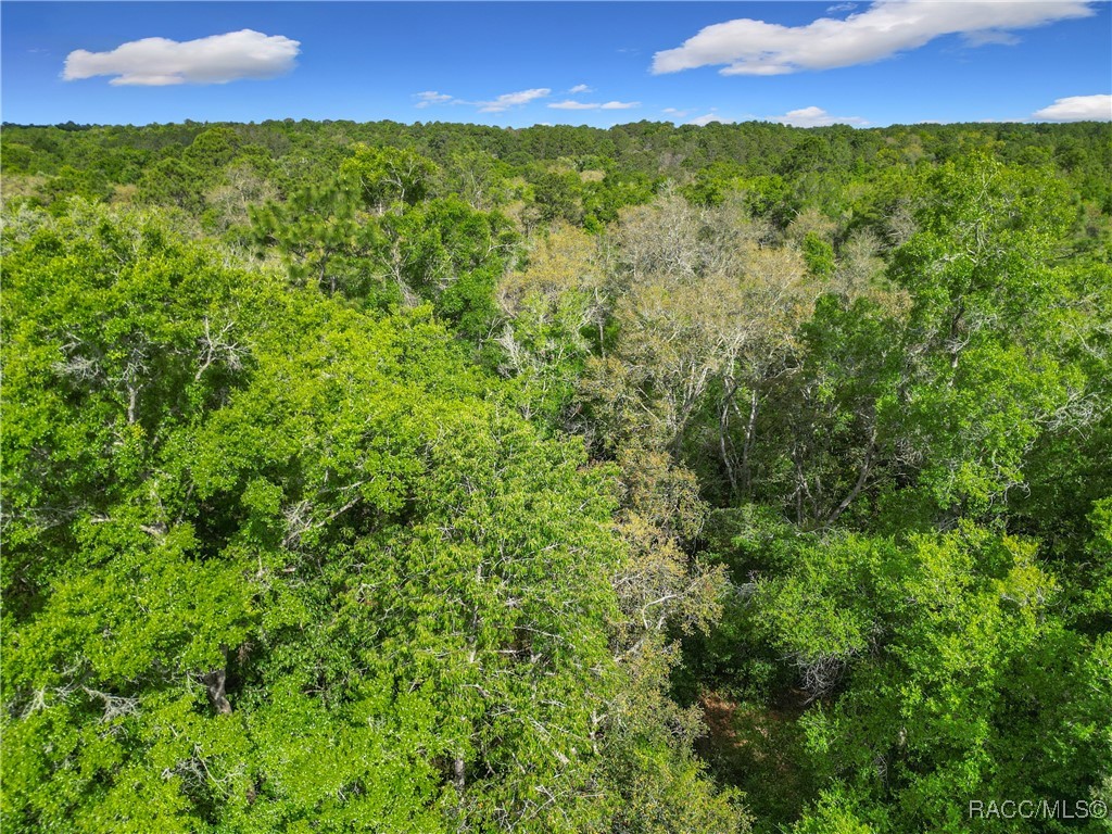 8808 N Deltona Boulevard, Citrus Springs, Florida image 14