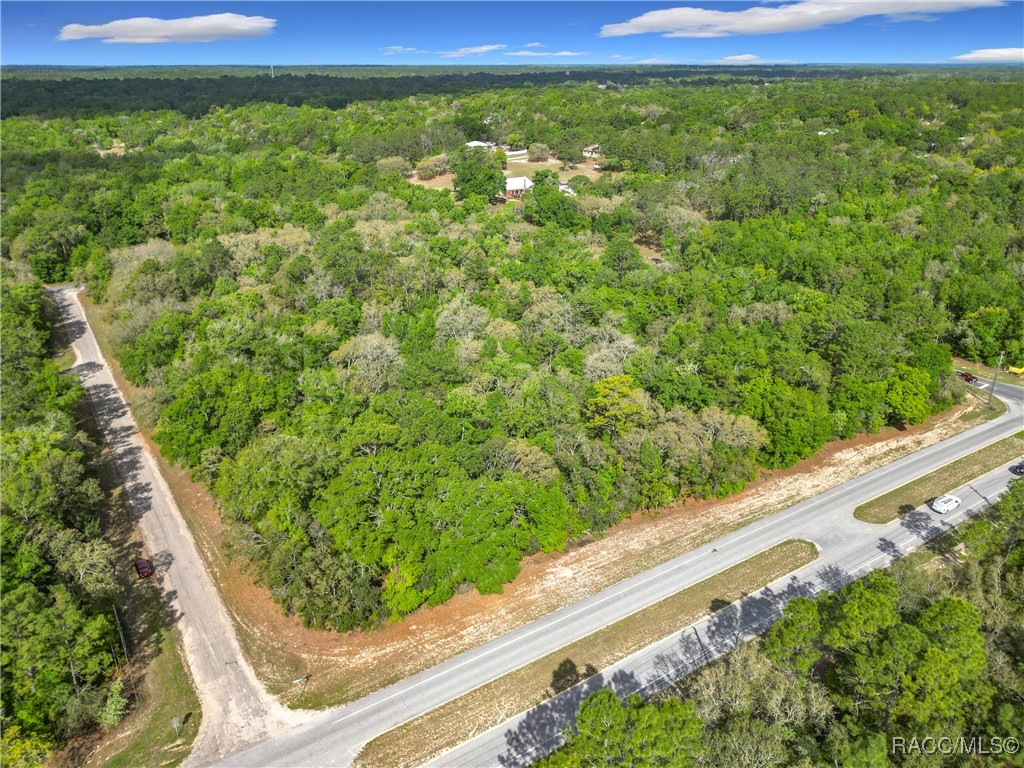 8808 N Deltona Boulevard, Citrus Springs, Florida image 17