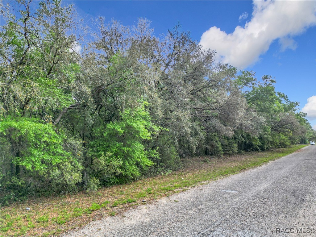 8808 N Deltona Boulevard, Citrus Springs, Florida image 12