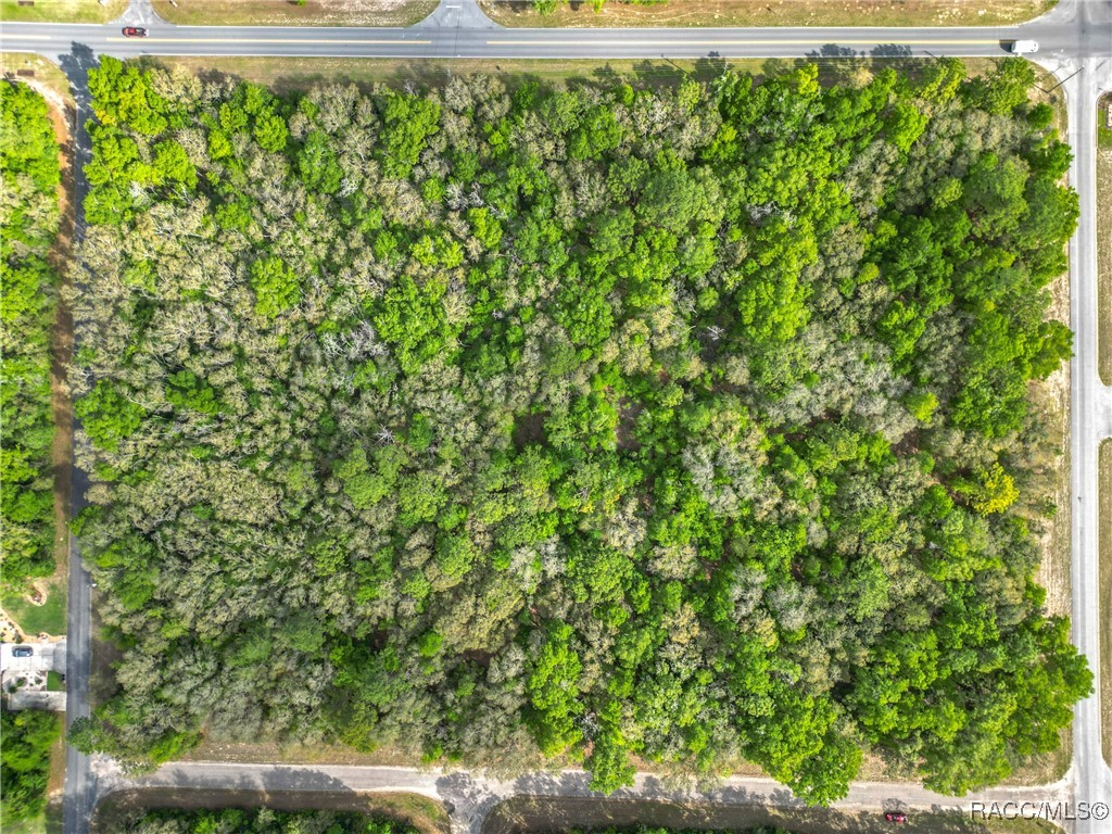 8808 N Deltona Boulevard, Citrus Springs, Florida image 16