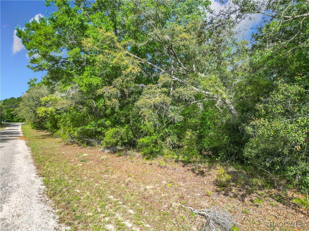 8808 N Deltona Boulevard, Citrus Springs, Florida image 13