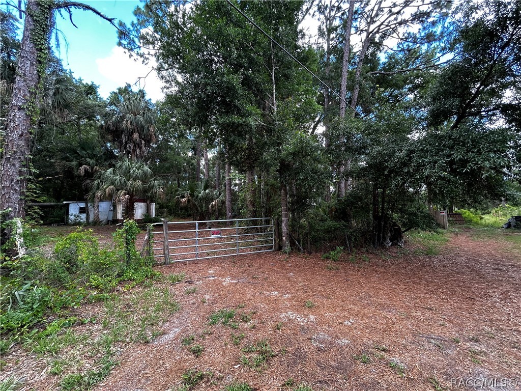 419 N Florene Point #7I, Crystal River, Florida image 1