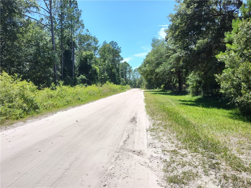 Lot A NE 66th Court, Citra, Florida image 3