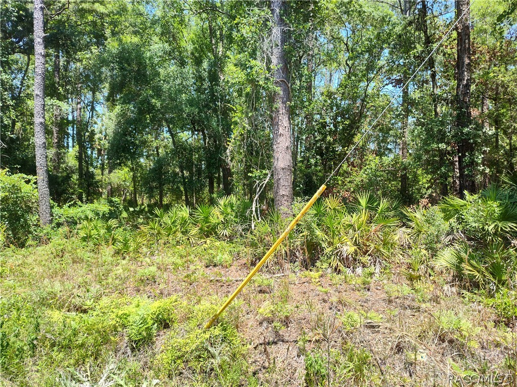 Lot A NE 66th Court, Citra, Florida image 1