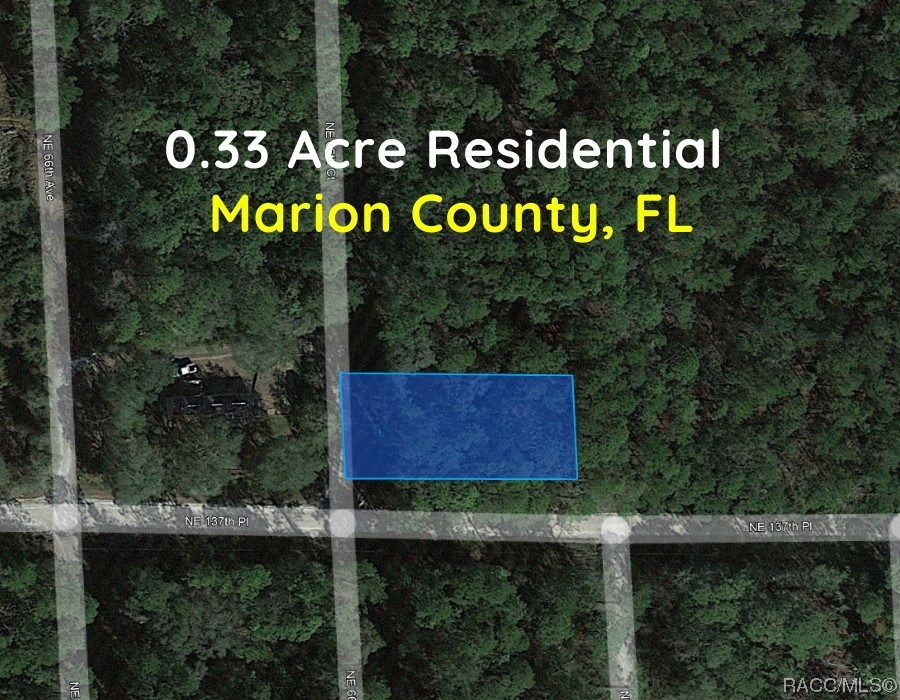 Lot A NE 66th Court, Citra, Florida image 4