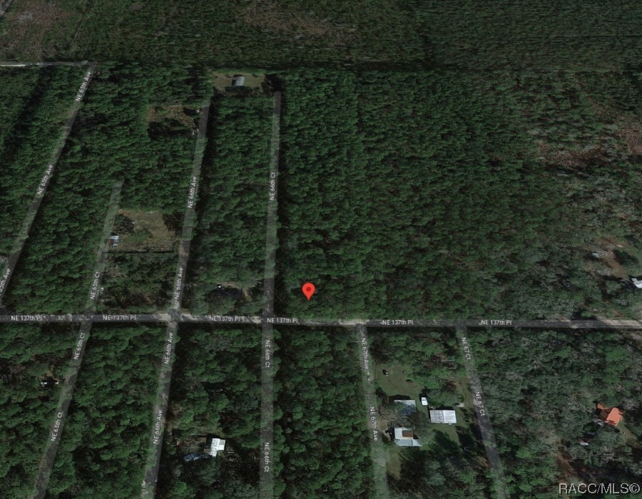 Lot A NE 66th Court, Citra, Florida image 8