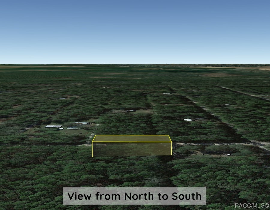 Lot A NE 66th Court, Citra, Florida image 13