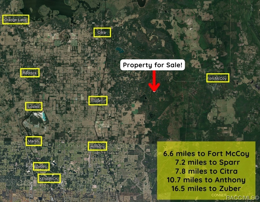 Lot A NE 66th Court, Citra, Florida image 10