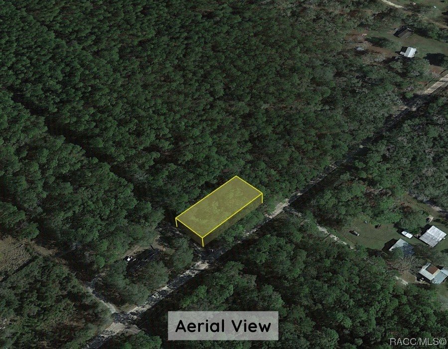 Lot A NE 66th Court, Citra, Florida image 11