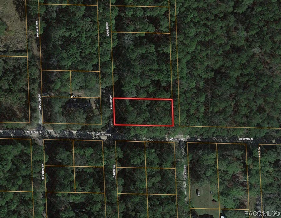 Lot A NE 66th Court, Citra, Florida image 6