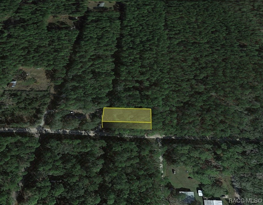 Lot A NE 66th Court, Citra, Florida image 7