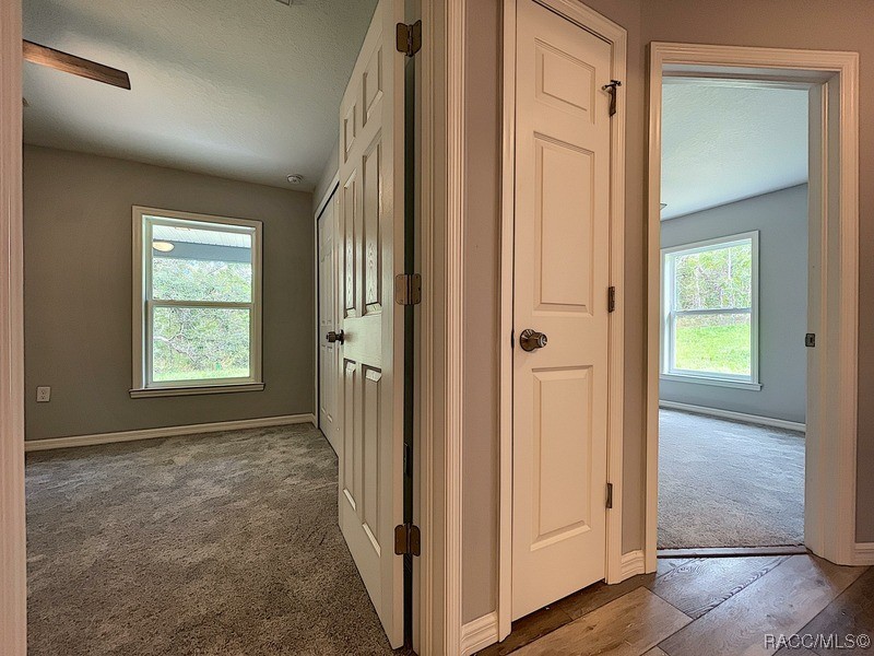 6344 N Matheson Drive, Citrus Springs, New York image 21