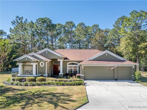 A home in Homosassa