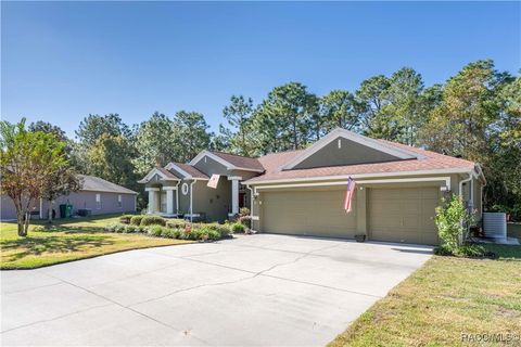 A home in Homosassa