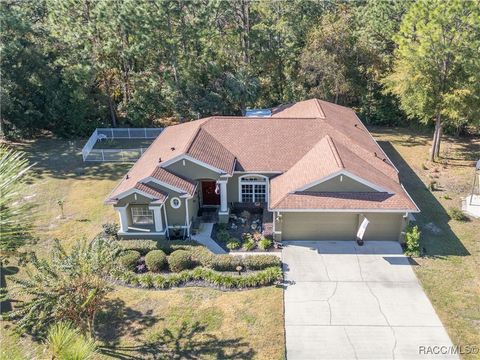 A home in Homosassa