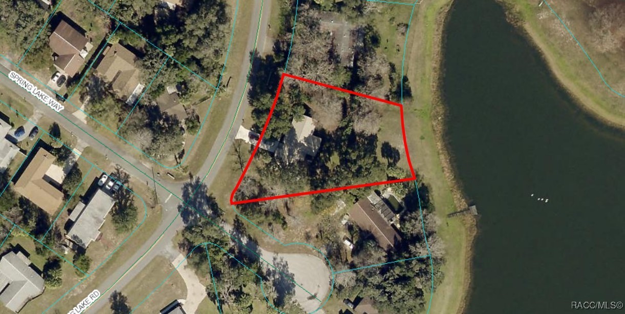 519 Spring Lake Road, Ocala, New York image 4