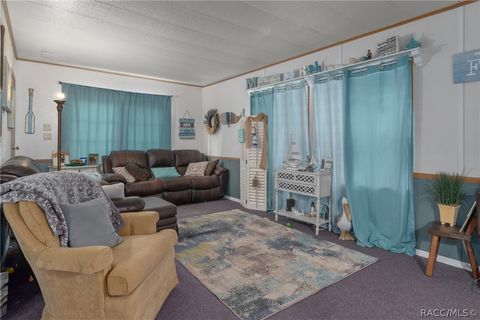 A home in Homosassa