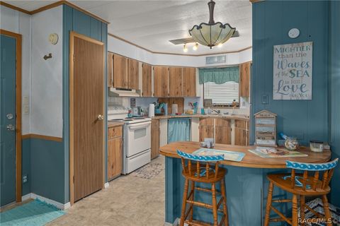 A home in Homosassa
