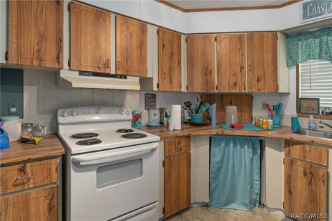A home in Homosassa