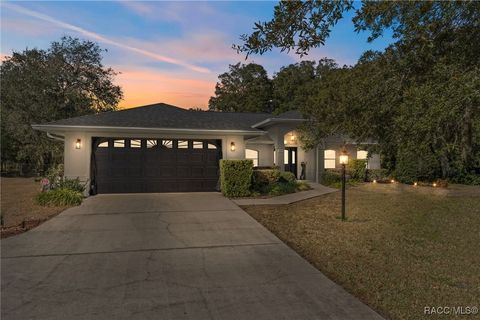 156 N Seton Avenue Lecanto FL 34461