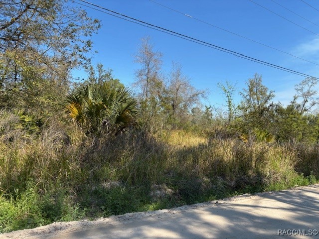5499 E Stokes Ferry Road, Hernando, Florida image 7