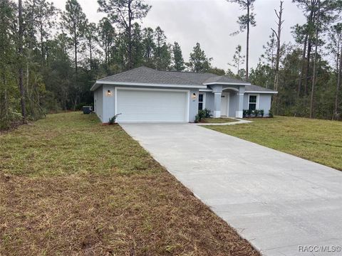 A home in Dunnellon