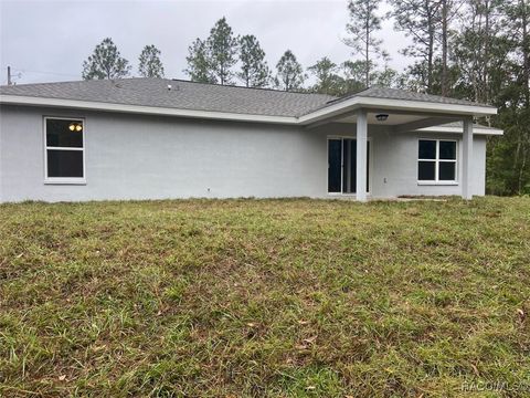 A home in Dunnellon