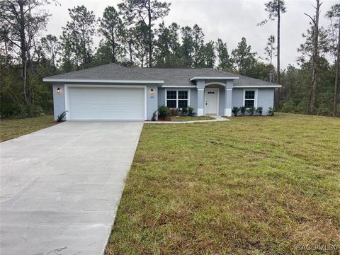 A home in Dunnellon