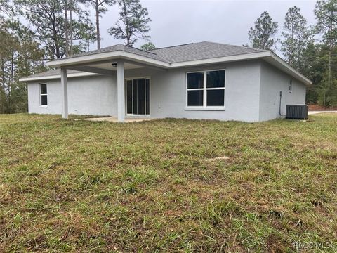 A home in Dunnellon