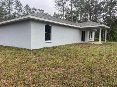 A home in Dunnellon