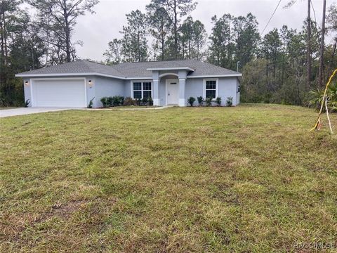 A home in Dunnellon