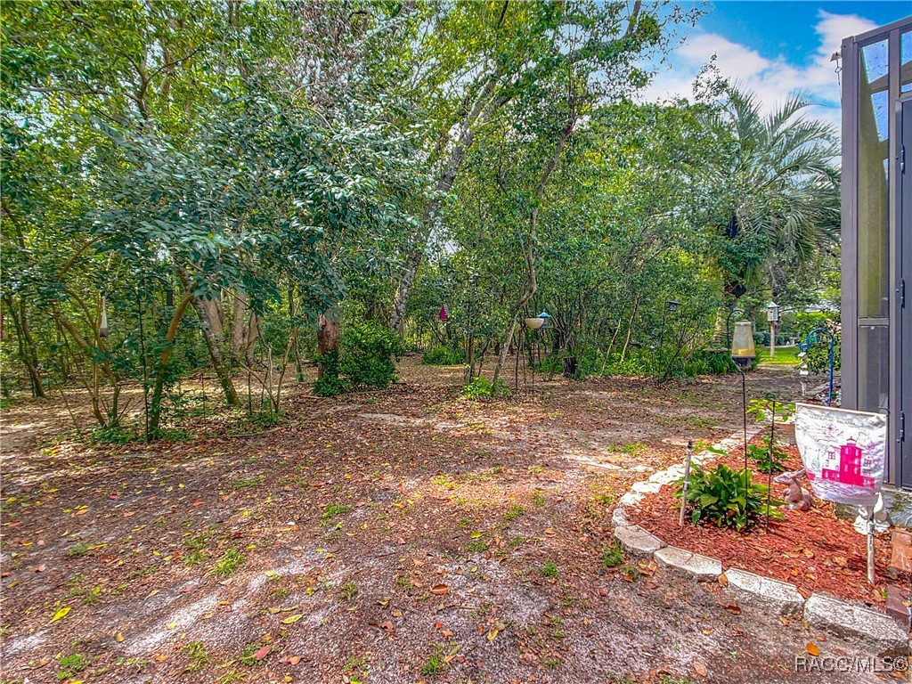 71 Pine Street, Homosassa, Florida image 49
