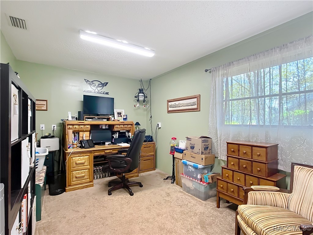 71 Pine Street, Homosassa, Florida image 36