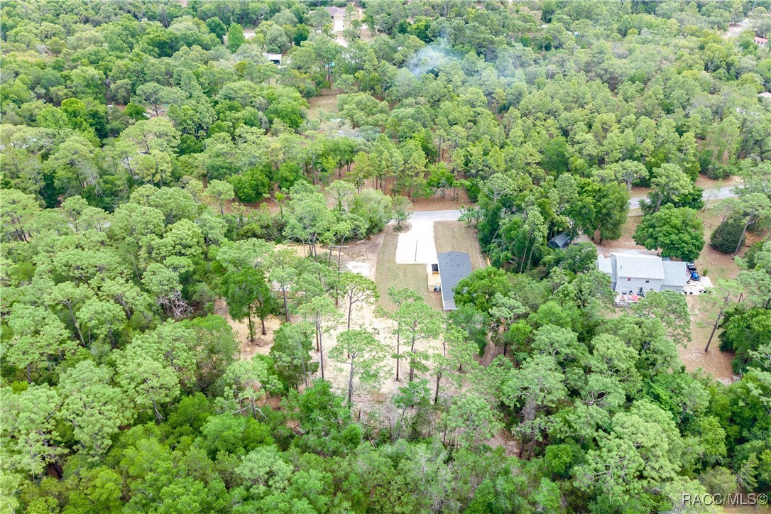 3124 N Cannes Point, Hernando, New York image 7
