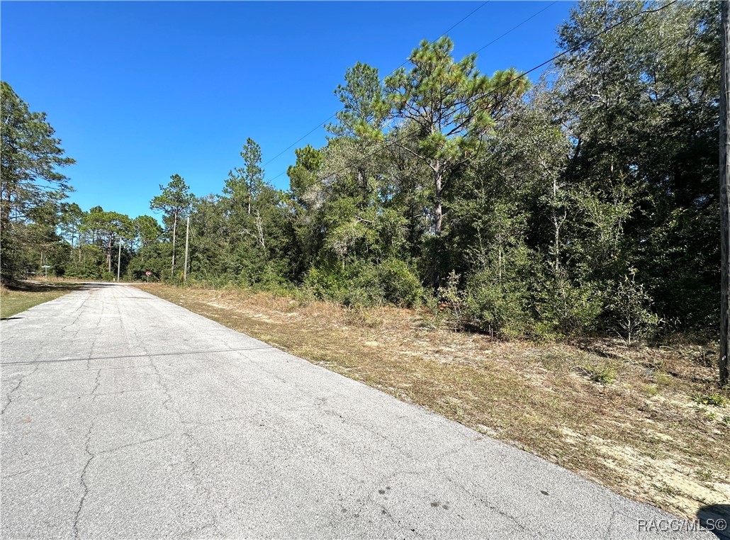 10955 N Dragonis Drive, Dunnellon, Florida image 2