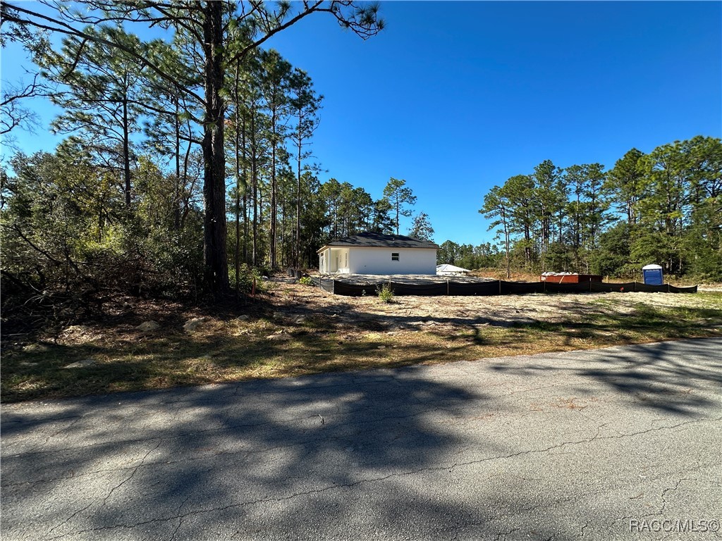 10955 N Dragonis Drive, Dunnellon, Florida image 3