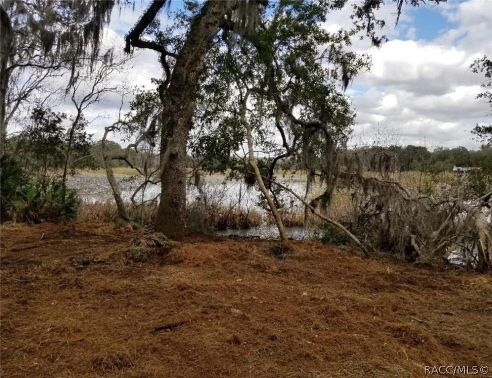 1005 N Pennybacker Road, Inverness, Florida image 9