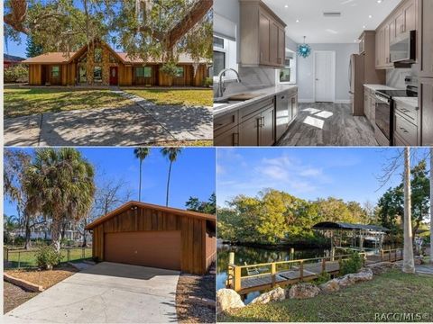 11870 W Riverhaven Drive Homosassa FL 34448