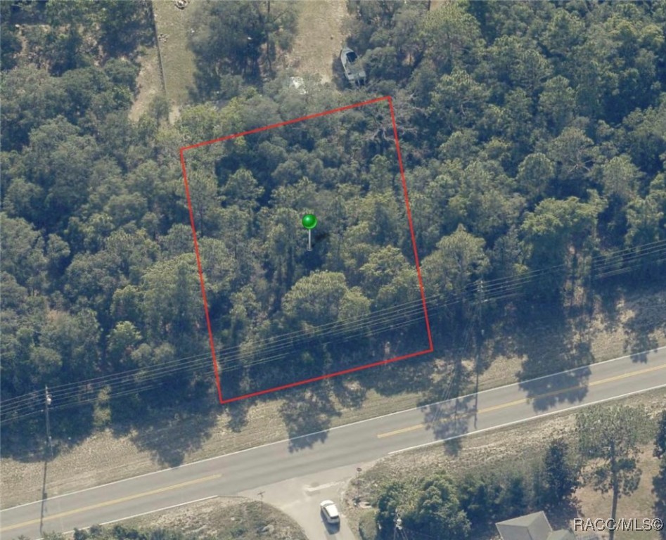 1604 S Rock Crusher Road, Homosassa, New York image 4