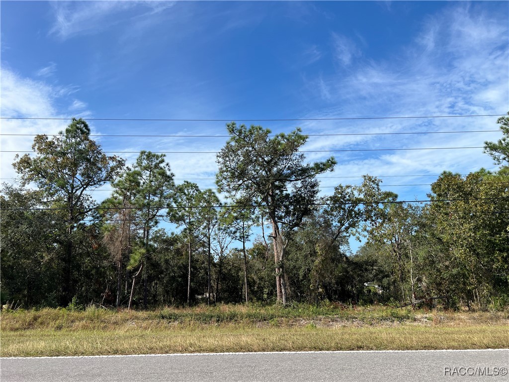 1604 S Rock Crusher Road, Homosassa, New York image 2
