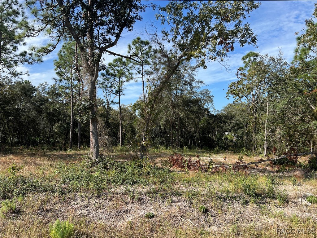 1604 S Rock Crusher Road, Homosassa, New York image 1